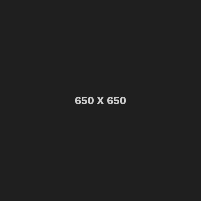 placeholder-650-650